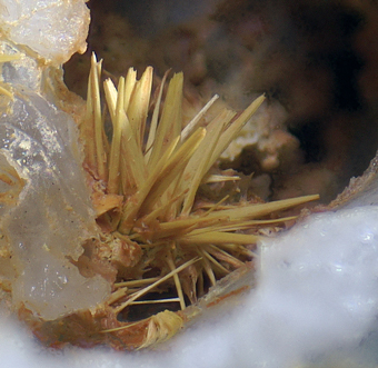 Ferrimolybdite - Malta mine, Huatacondo,Tarapac� Region, Chile