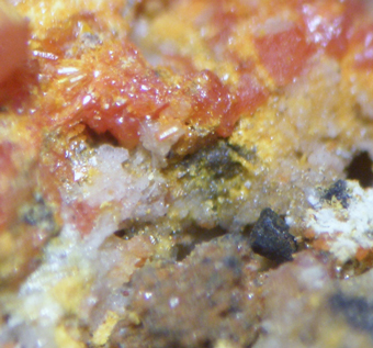 Iranite, Wulfenite, Herbertsmithite - Santa Ana mine, Tocopilla District, Chile