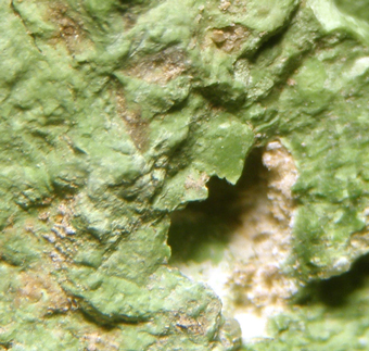 Schlossmacherite (TL) - El Guanaco mine, Taltal, Antofagasta Region, Chile