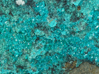 Spangolite - Resguardo III mine, Carreras Pinto, Atacama, Chile