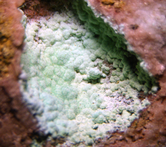 Zalesiite - Tucumana mine, Inca de Oro, Chile