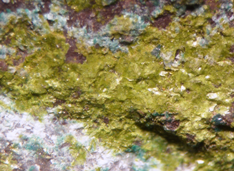 Vesignieite and Malachite - San Samuel mine, Carreras Pinto, Atacama Region, Chile