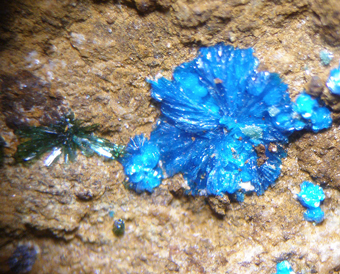 Sampleite - La Farola mine, Tierra Amarilla - Chile