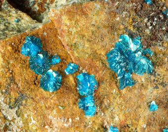 Sampleite - La Farola mine, Tierra Amarilla - Chile