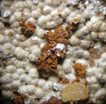 Alumohydrocalcite - Mas Dieu, Mercoirol, Languedoc-Roussillon, France