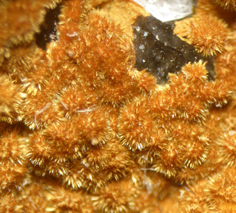 Karibibite - Oumlil mine, Bou Azzer District - Morocco