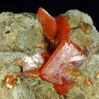 Wulfenite, Touissit, Oriental Region, Morocco