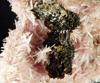 Hubeite and Inesite - Fengjiashan mine, Hubei Province, China