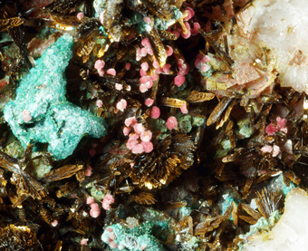 Erythrite, Goethite, Lavendulan - Bou Azer, Bou Azer District, ,Souss-Massa-Dra� Region, Morocco