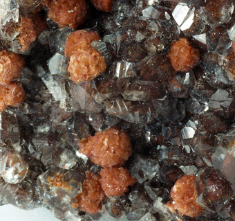 Talmessite, Calcite - Agoudal, Bou Azer district, Souss-Massa-Dra� Region, Morocco