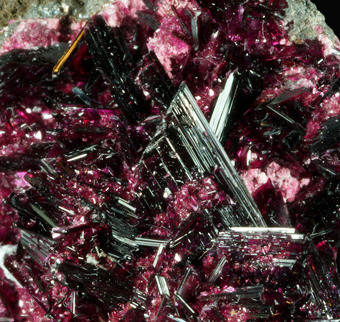Erythrite - Bou Azer, Souss-Massa-Dra� Region, Morocco