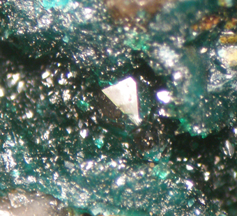 Reichenbachite (TL) - Reichenbach, Lautertal, Hesse, Germany