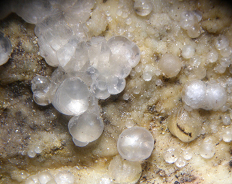 Melanophlogite - Fortullino, Rosignano Marittimo, Italy