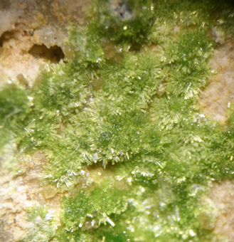 Arthurite - Majuba Hill mine, Pershing Co., Nevada, USA