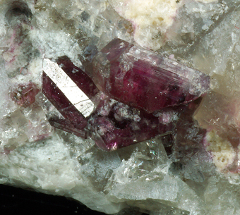 Liddicoatite - Sahatany Valley, Vakinankaratra, Antananarivo, Madagascar
