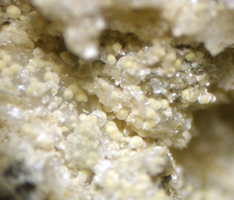 Meuringite-K - Eduardo claim, Conselheiro Pena, Minas Gerais, Brazil