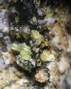 Jahnsite, Saleeite, Apatite - Sapucaia mine, Galil�ia, Minas Gerais, Brazil