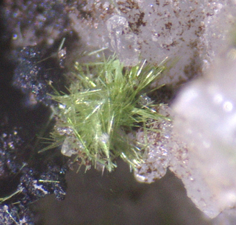 Agardite-Ce - Santa Lucia mine, Fluminimaggiore, Sardinia, Italy