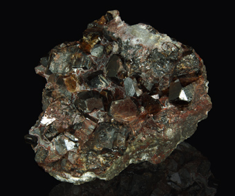 Cassiterite - C�novec, Krusn� Hory Mts, Czech Republic