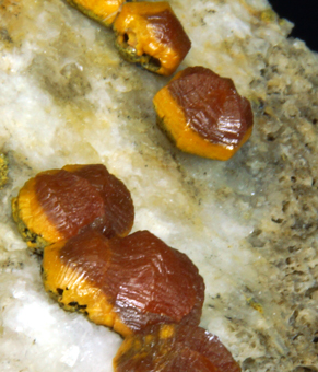 Campylite - Dry Gill mine, Caldbeck Fells, Cumbria, England, UK