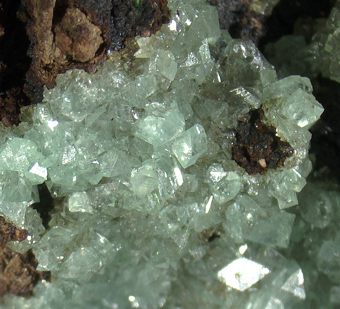 Cuprian Adamite - Ojuela mine, Mapimi, Durango, Mexico