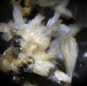 Bertrandite and Quartz - Kara-Oba W deposit, Betpakdala Desert, Karagandy Province, Kazakhstan