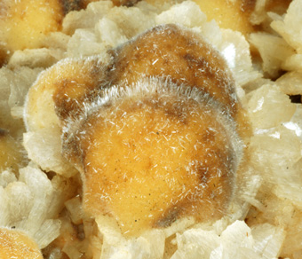 Thomsonite, Stilbite - Shakur Quarry, Nasik District, Maharastra, India