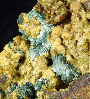 Kottigite - Ojuela Mine, Mapimi, Durango, Mexico