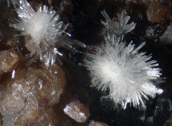 Rapidcreekite (TL) - Rapid Creek, Yukon, Canada