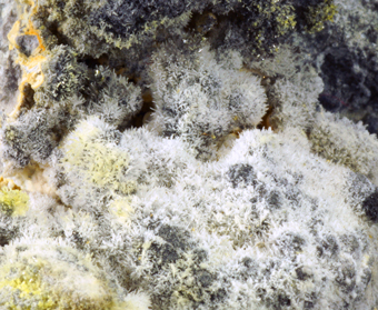 Pseudocotunnite - La Fossa crater, Vulcano Island, Sicily, Italy