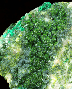 Vesigneite - Mashamba west mine, Kolwezi, Katanga, Democratic Republic of Congo