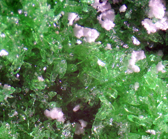 Natrochalcite - Chuquicamata mine, Calama, Antofagasta Region, Chile