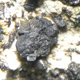 Villamaninite (TL)- Providencia mine, Villanueva de Pontedo, Castile and Leon, Spain