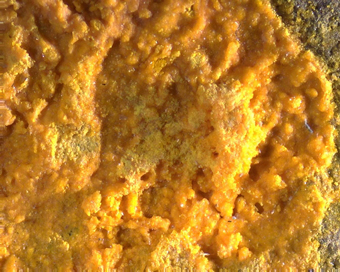 Schoderite (TL) - VanNavSan claim, Fish Creek Range, Nevada, USA