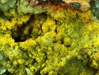 Greenockite on Smithsonite - Montevecchio mines, Arbus, Sardinia, Italy