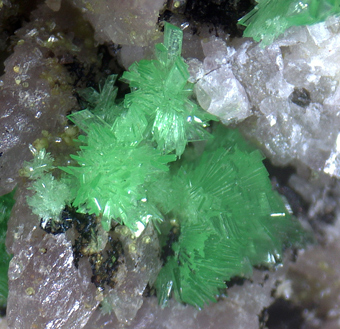Gaspeite on Annabergite - Km-3 mine, Lavrion, ,Attik� Prefecture, Greece