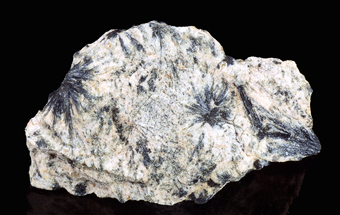 Gedrite -Skisshyttan, Smedjebacken, Dalarna, Sweden