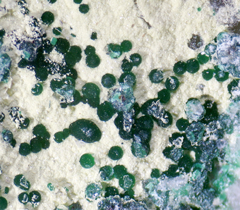 Arsenogorceixite (TL) and Cornwallite - Clara mine, Rankach valley, Baden-W�rttemberg, Germany