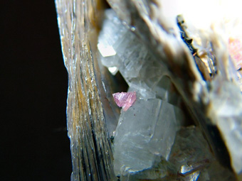 Pezzottaite, Albite and Polylithionite - Sakavalana mine, Ambatovita, Mandrosonoro area, Ambatofinandrahana District, Amoron'i Mania Region, Fianarantsoa Province, Madagascar