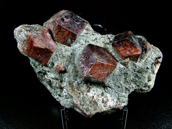 Almandine - Granatenkogel north slope (Granatenkopf north slope; Granatkogel north slope; Granatenwand), Gaisberg valley, Obergurgl, Gurgler valley, �tz valley, North Tyrol, Tyrol, Austria