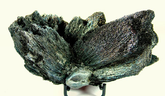Berthierite - Herja Mine, Chiuzbaia (Kisb�nya), Baia Mare (Nagyb�nya), Maramureș Co., Romania