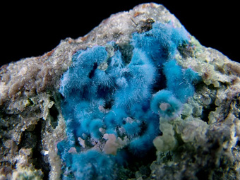 Khaidarkanite - Khaidarkan Sb-Hg deposit (Chaidarkan), Fergana Valley, Alai Range (Alay Range), Osh Oblast, Kyrgyzstan