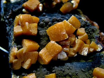 Wulfenite on Mottramite - Ojuela Mine, Mapim�, Mun. de Mapim�, Durango, Mexico
