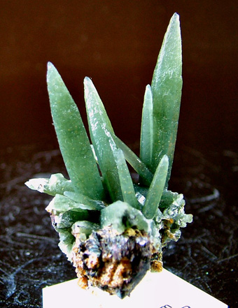 Prase Quartz - Serifos Island (Seriphos), Cyclade Islands (Cyclades; Kikladhes; Nomos Kikladhon), Kykl�des Prefecture, Aegean Islands Department (Aiya�on), Greece