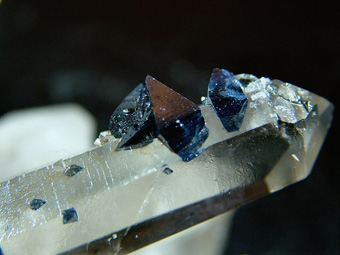 Anatase on Quartz - Hardangervidda, Hordaland, Norway