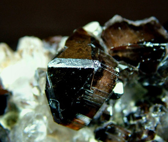 Cassiterite on Quartz - Viloco Mine (Araca Mine), Loayza Province, La Paz Department, Bolivia