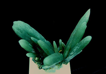 Prase Quartz - Serifos Island (Seriphos), Cyclade Islands (Cyclades; Kikladhes; Nomos Kikladhon), Kykl�des Prefecture, Aegean Islands Department (Aiya�on), Greece