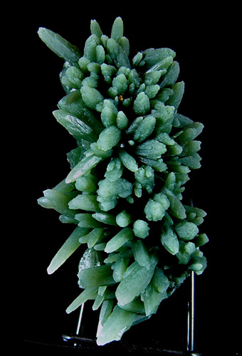 Prase Quartz with Hematite - Serifos Island (Seriphos), Cyclade Islands (Cyclades; Kikladhes; Nomos Kikladhon), Kykl�des Prefecture, Aegean Islands Department (Aiya�on), Greece