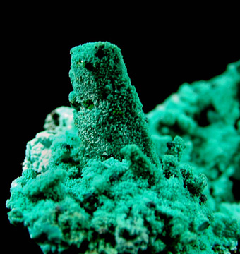 Ajoite ps on Azurite ps on Malachite - Lupoto mine, Lubumbashi (Elizabethville), Katanga Copper Crescent, Katanga (Shaba), Democratic Republic of Congo (Za�re)