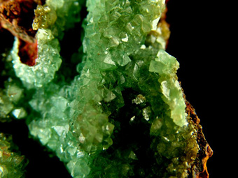 Austinite - Ojuela Mine, Mapim�, Mun. de Mapim�, Durango, Mexico